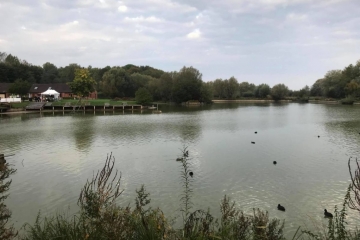 FOREST SUR MARQUE - DU HERON AUX BONNIERS-nord