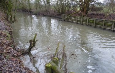 FOREST SUR MARQUE - DU HERON AUX BONNIERS-nord