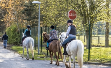 CAMPHIN-EN-CAREMBAULT - SUR LES TRACES DE SAINT MEDARD-nord