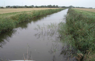 Circuit du Ringsloot et des Watergangs-nord