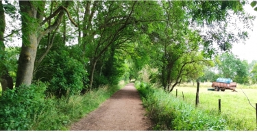 EMMERIN - BALADE NATURE DANS LES CHAMPS CAPTANTS-nord