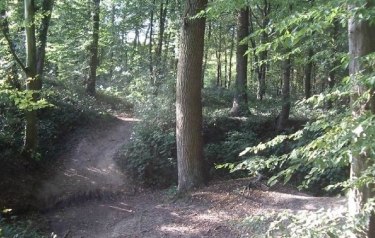 ATTICHES - CHATEAU DE L ERMITAGE-nord