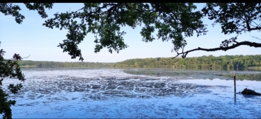 MARE A GORIAUX - MARE DU PRUSSIEN-nord