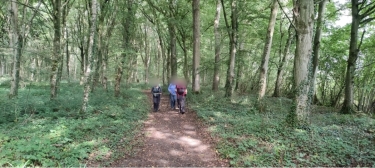 MERVILLE - CIRCUIT DES RIVIERES-nord