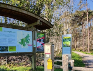 GODEWAERSVELDE - CIRCUIT DE L HELLEKETELBOS-nord