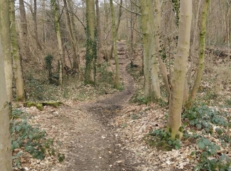 GODEWAERSVELDE - CIRCUIT DE L HELLEKETELBOS-nord