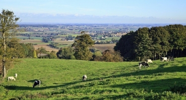 FLETRE - EN PASSANT PAR CAESTRE-nord
