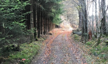 ABELE - CIRCUIT DU VLETERBEEK-nord