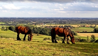BOESCHEPE - CIRCUIT DU MONT KOKEREEL-nord