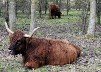 ANNOEULLIN - CIRCUIT DU CHATEAU DU BOIS-nord