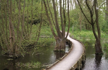 AUTOUR D ANCOISNE-nord