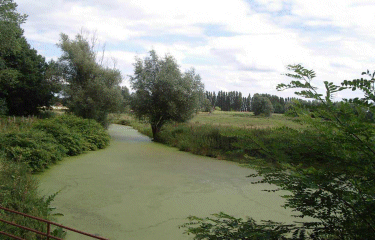 Circuits de Haverskerque-nord