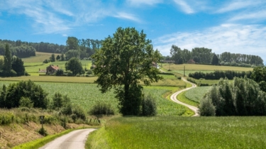 ST SYLVESTRE CAPPEL - VERS STEENVOORDE-nord
