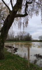 FLETRE - LES 4 FILS AYMON-nord