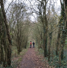 ERQUINGHEM-LE-SEC - BALADE DANS LES WEPPES-nord