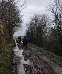 MERRIS - LE MONT DE MERRIS-nord