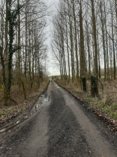 BACHY -  ENTRE FRANCE ET BELGIQUE-nord