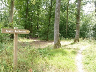 LOCQUIGNOL - LE SENTIER DES NERVIENS-nord