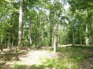 LOCQUIGNOL - LE SENTIER DES NERVIENS-nord