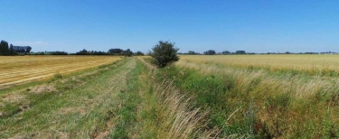 LES COTEAUX DE SOCX-nord