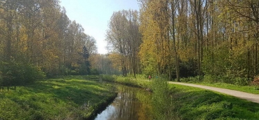 TETEGHEM-COUDEKERQUE-VILLAGE - LA PLAINE WATERINGUEE-nord