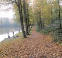 FOURMIES - CIRCUIT DU CAMP DE GIBLOU-nord