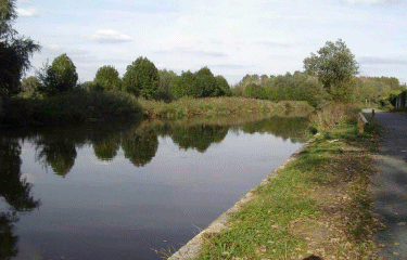 Circuits autour de Wandignies-Hamage-nord