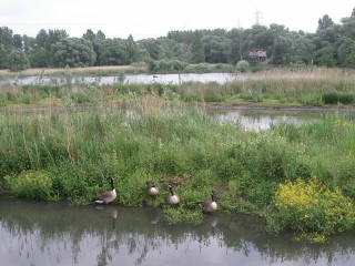 PERONNE EN MELANTOIS - DE LA MOTTE FEODALE AU MARAIS DE BONNANCE-nord