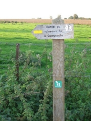 REJET DE BEAULIEU - SENTIER DU RUISSEAU DE GOURGOUCHE-nord