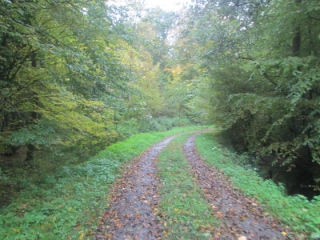 OHAIN - CIRCUIT DES CHAPELLES (BALISAGE JAUNE)-nord