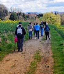 GODEWAERSVELDE - A LA DECOUVERTE DES JACINTHES-nord
