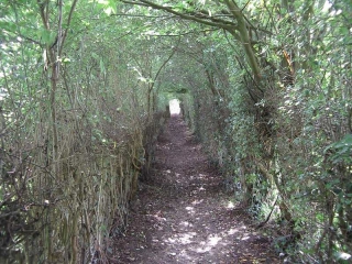 FRASNOY - PAR LES CACHES