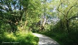 GRANDE RANDONNEE VERS PARIS ETAPE N° 3-nord