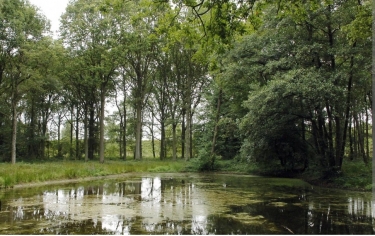 THUMERIES - LES CINQ TAILLES-nord