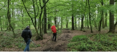 THUMERIES - LES CINQ TAILLES-nord