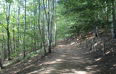 Sentier du Mont Noir-nord