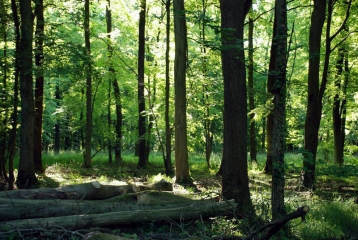 PREUX-AU-BOIS - CIRCUIT DE PREUX-AU-BOIS-nord