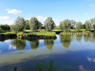 WILLEMS - AUTOUR DES 6 BONNIERS-nord