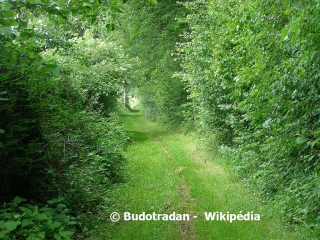 BERELLES - CIRCUIT DU BOUT LA-HAUT-nord