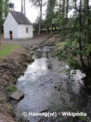 SALESCHES - CIRCUIT DES FLEURS CHAMPETRES-nord
