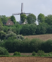 BOSCHEPE - CIRCUIT DE SANCTORUM-nord