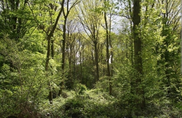 TOURMIGNIES - CIRCUIT DE LA BECQUE-nord