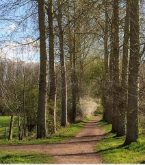 EMMERIN - CIRCUIT DU VERT BOIS-nord