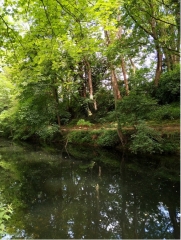 EMMERIN - CIRCUIT DU VERT BOIS-nord