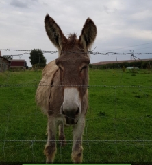 HERRIN - VARIANTE CIRCUIT DES  11 CLOCHERS-nord