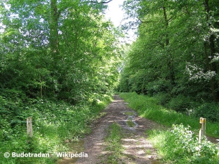 BEAUFORT – CIRCUIT DU CHEMIN D AVESNES-nord