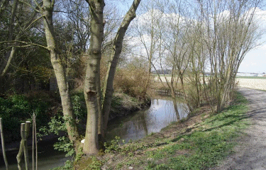 La boucle des Bonniers-nord