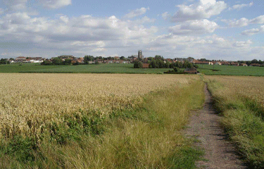 Chapelles et censes de Linselles-nord