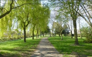 BERGUES - LES PIEDS DE COTEAUX-nord