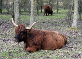 DON - LOUVIÈRE ET LES ANSEREUILLES-nord